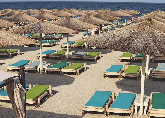 Lotus Daire Navodari