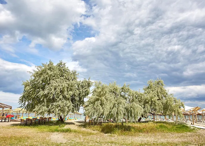 Lotus アパート *